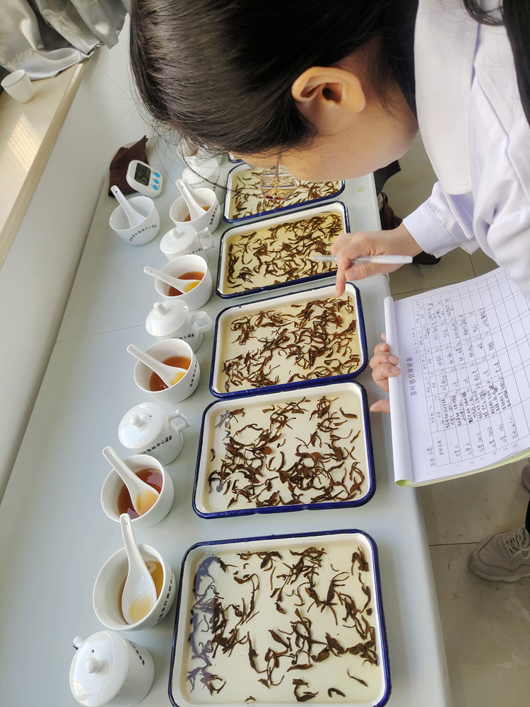 健康茶是企業(yè)紅線(xiàn)，質(zhì)量好是企業(yè)的根基
